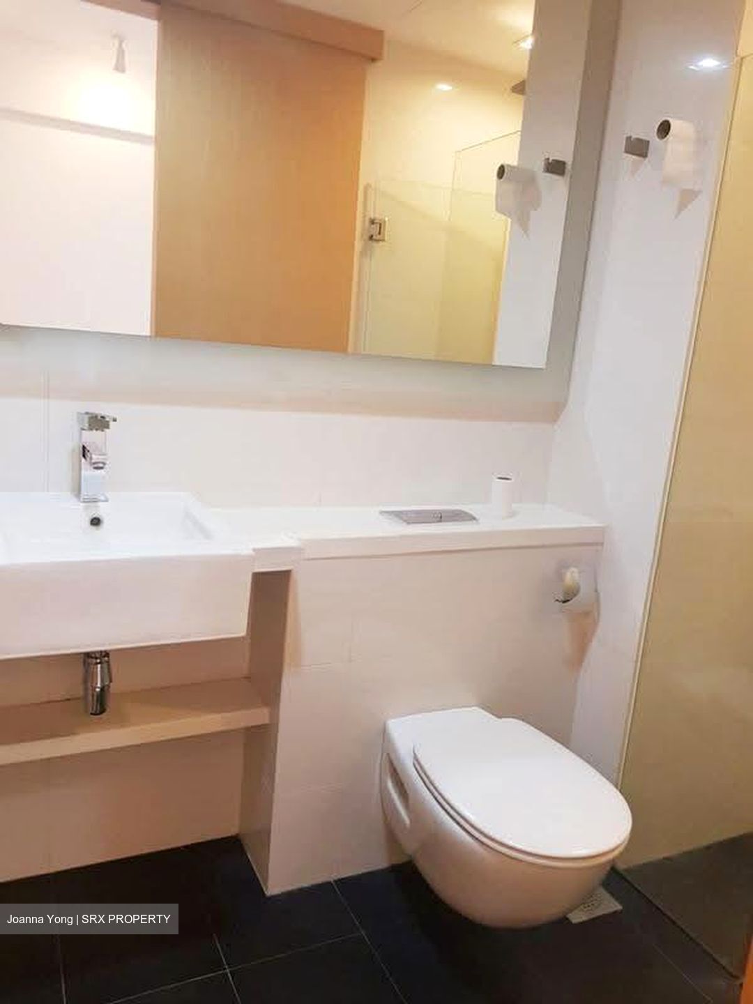 Lumiere (D2), Apartment #638570461